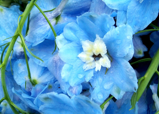 604496 (a): :2500x1800